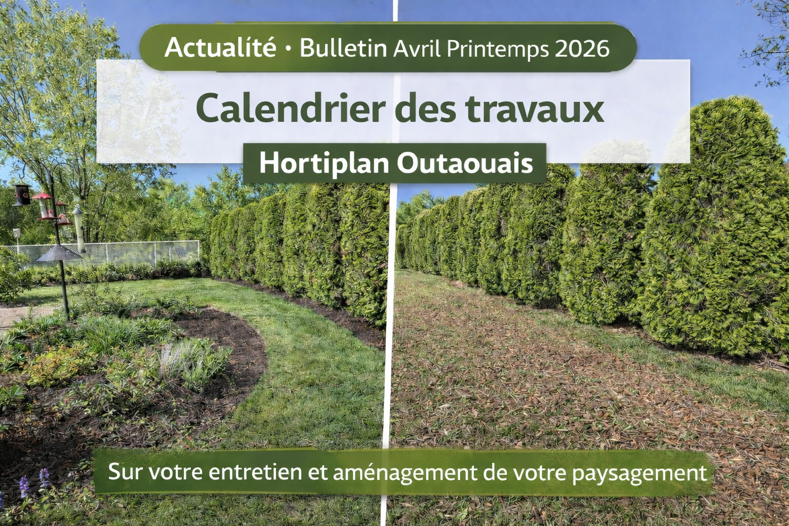 Entretien printanier, pelouse et aménagement paysager à Gatineau – Avril