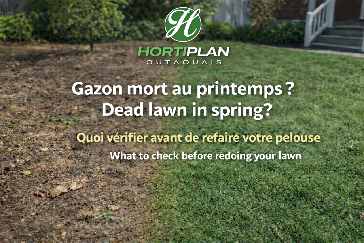Does your lawn look dead in spring? Here is what to check before redoing it