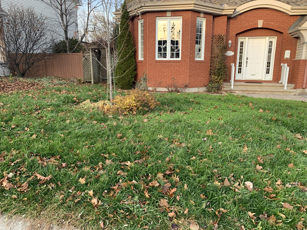 Terrain avant les travaux à Aylmer