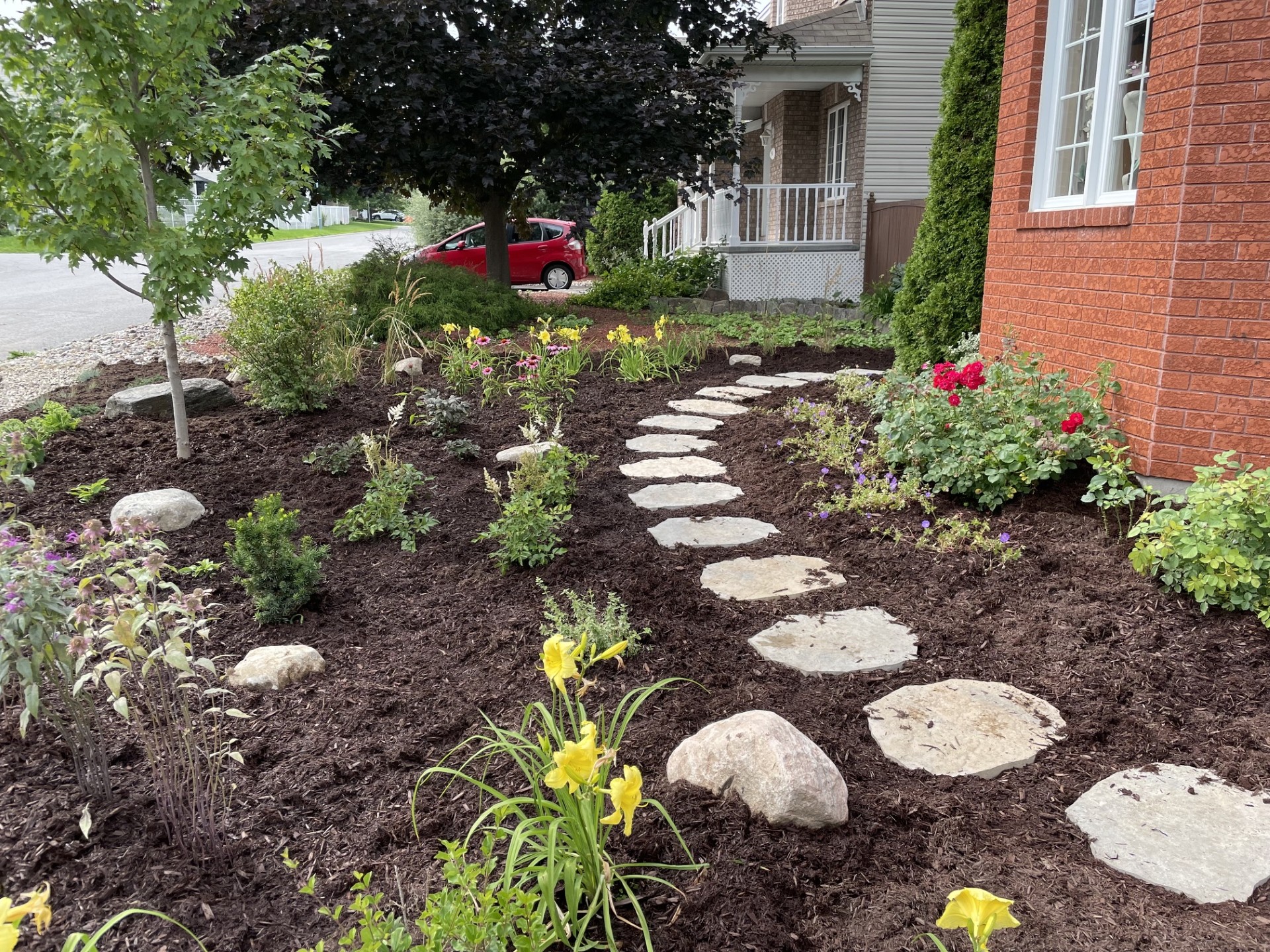 Plantation et aménagement près de la maison